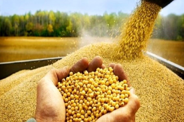 ماموریت واحدهای مختلف در کمیته ملی بذر دانشگاه آزاد اسلامی تعیین شده است/ تولید بذر گام مهمی در مقابله با تحریم