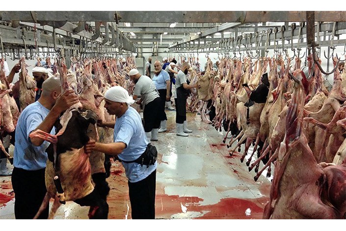 ارسال گوشت قربانی حجاج به ۲۷ کشور محروم