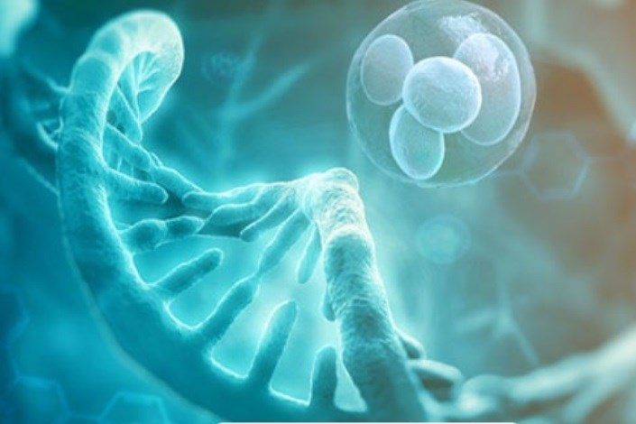 امکان بررسی جامع ژنومیک جنین قبل از لانه گزینی