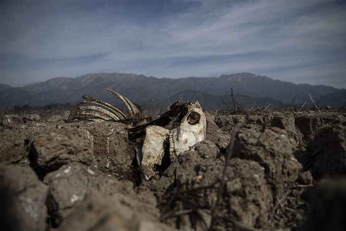 بیداد خشکسالی در شیلی