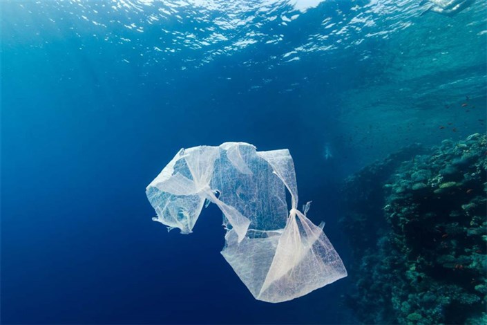 تولید و عرضه تجاری پلاستیک‌های زیست‌تخریب‌پذیر