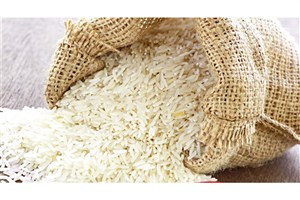 قیمت برنج کاهشی می‌شود