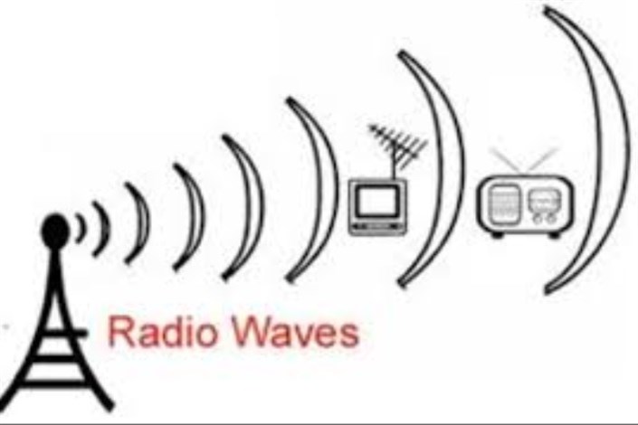 تاثیر امواج رادیویی بر بدن حشرات
