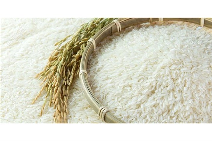 برنج تراریخته در بازار وجود ندارد