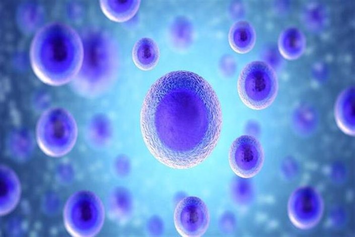 کدام بیماری‌ها از طریق سلول‌های بنیادی قابل درمانند؟