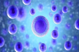 کدام بیماری‌ها از طریق سلول‌های بنیادی قابل درمانند؟
