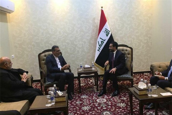  دیدار جابری انصاری با رئیس مجلس عراق