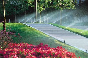 فضای سبز در کرمان سرمایه‌گذاری برای سلامت روان؛ کمبود آن نشت روان‌شناختی در شهروندان را تشدید می‌کند