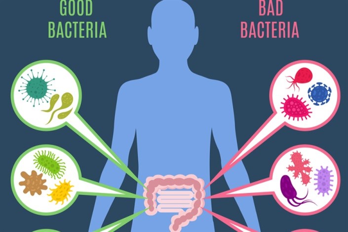 تأثیر آنتی بیوتیک روی باکتری های روده 