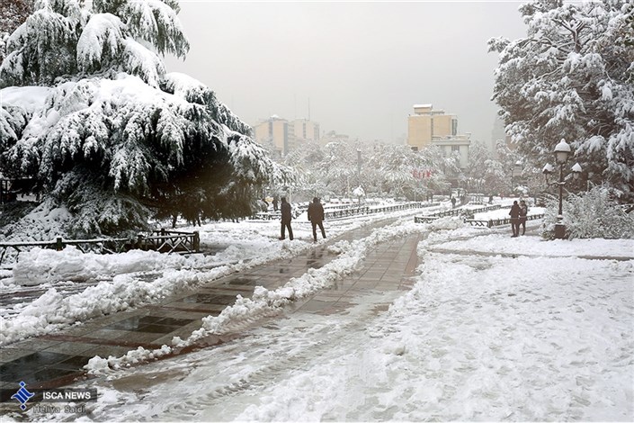 بارش  برف و باران  در تهران/ باران‌های سنگین در فارس و کرمان