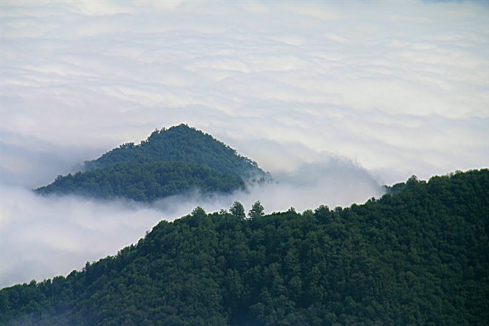 نجات گردشگران مفقود شده  جنگل ابر