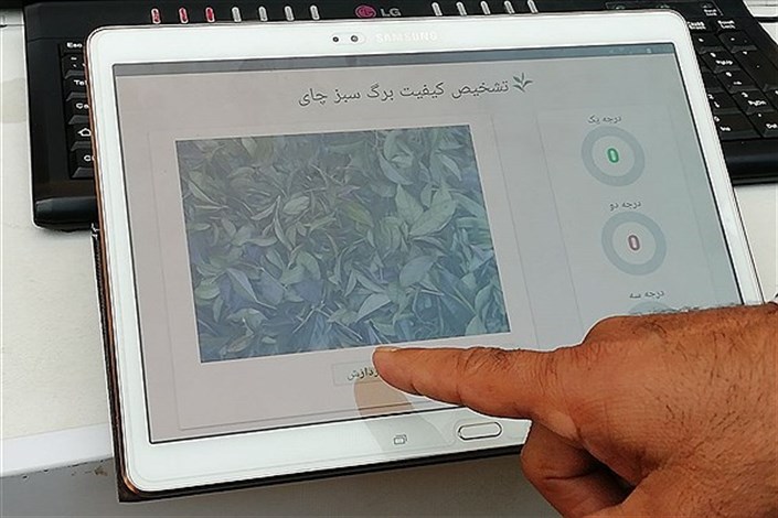دستگاه کیفیت برگ سبز چای ساخت دانشگاه آزاد اسلامی لاهیجان با موفقیت آزمایش شد