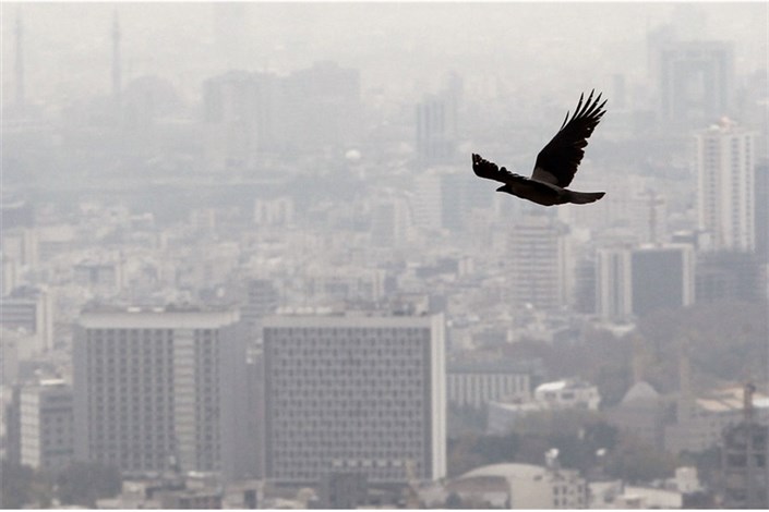 افزایش آلایندگی هوای تهران تا دوشنبه/ فعالیت ورزشی  دانش‌آموزان و سالمندان ممنوع