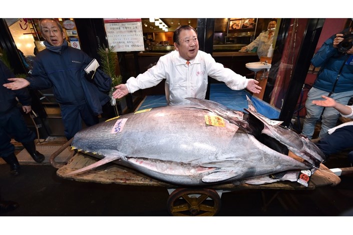 رستوران ژاپنی 23 میلیارد تومان برای یک ماهی تن باله آبی پول داد