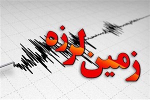 افزایش شمار قربانیان و مصدومان زلزله پاکستان