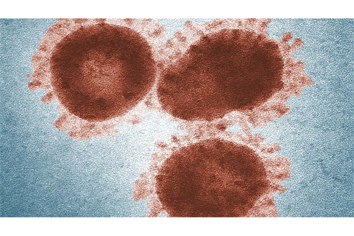 شناسایی ویروس کرونا در کمتر از ۱۵ دقیقه با  فناوری‌نانو