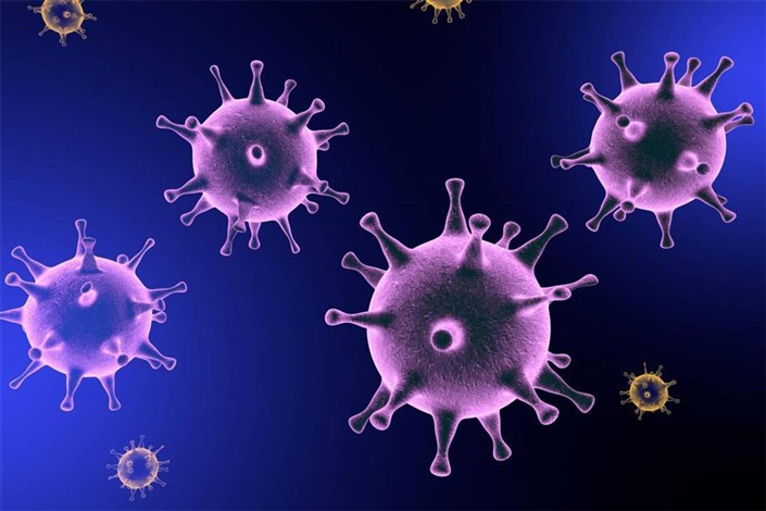 صراحت و شفافیت اخبار مربوط به ویروس کرونا قابل تقدیر است