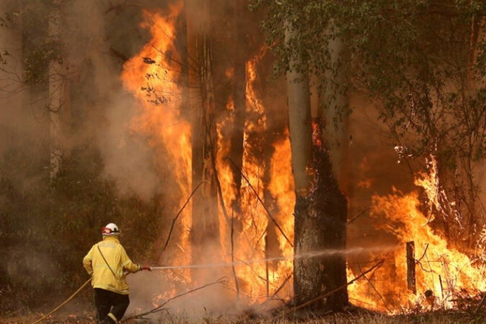 آتش مهیب استرالیا خاموش شد