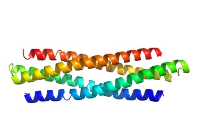 تولید پروتئین نانوساختار که در دمای بالا مقاوم است