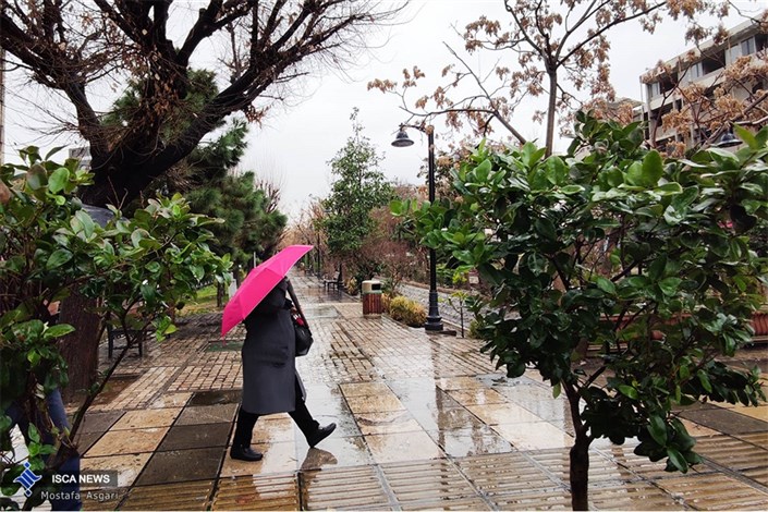 بارش باران در چند روز آینده در تهران/ کاهش ۵ تا ۷ درجه‌ای دما