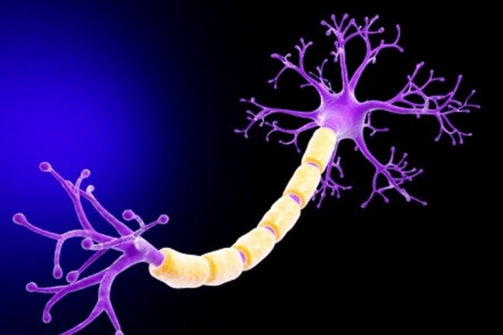 ارتباط نرون ها با نفس کشیدن چیست؟