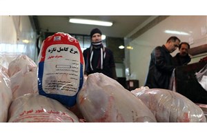عرضه مرغ گرم ۱۵ هزار تومان کمتر از نرخ مصوب