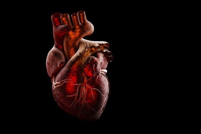 ارتباط مرموز بین ویروس کرونا و قلب