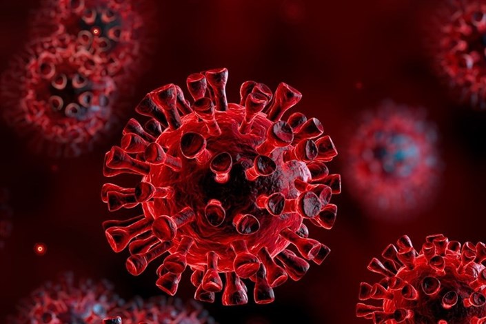 ساخت داروی ضدویروس‌گیاهی برای درمان کرونا