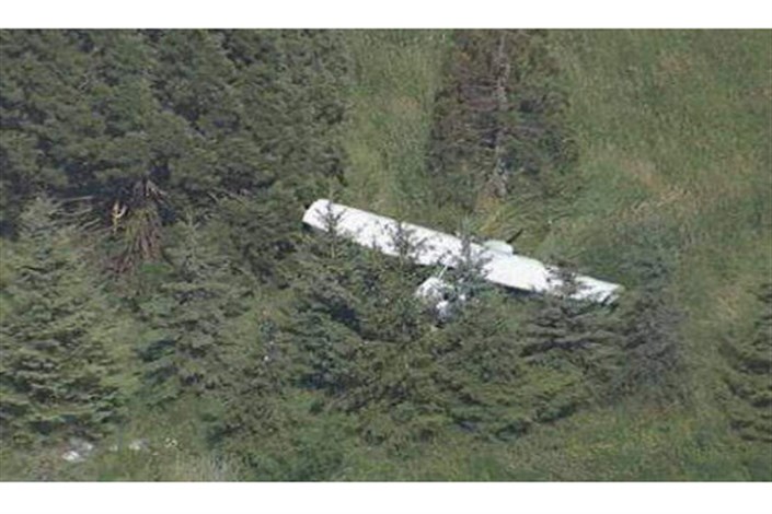  سقوط هواپیمای آموزشی ناجا در سلمانشهر/2مامورپلیس شهید شدند
