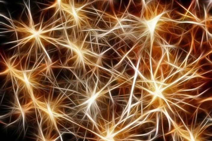 نورون های تنظیم کننده قند خون پیدا شدند