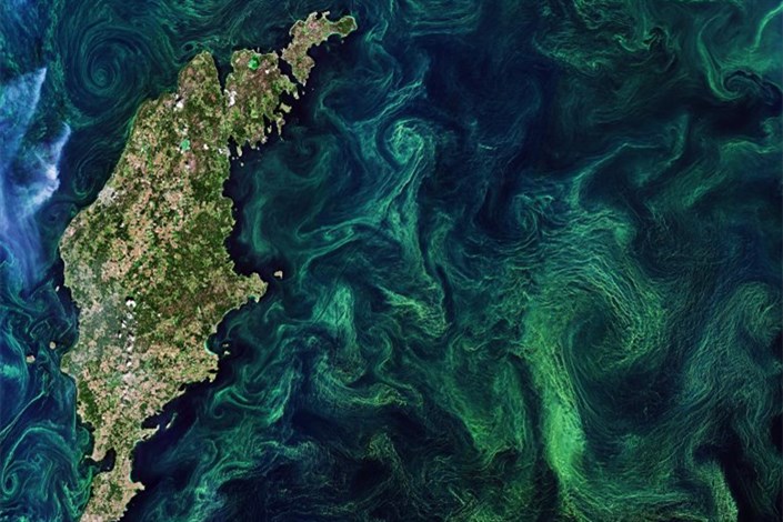 پیگیری رنگ اقیانوس‌ها در مورد فیتوپلانکتون‌ها