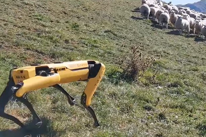 ربات ها مزارع کشاورزان را کنترل می کنند+فیلم