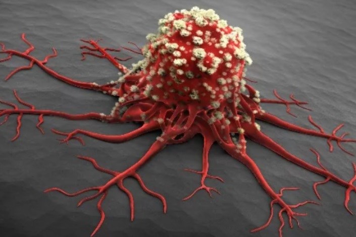سلاح سلول سرطانی در برابر ویروس چیست؟