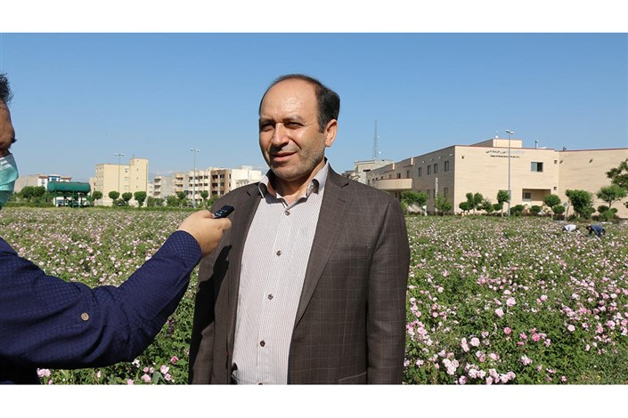 عطر گل سرخ در دانشگاه آزاد اسلامی اردبیل پیچید