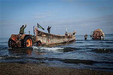 ممنوعیت صید ترال در راستای آیش و پایش ذخایر فانوس ماهیان