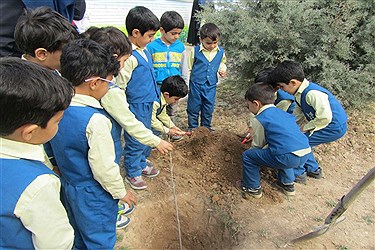استقبال از بهار با کاشت درخت از سوی دانش‌آموزان سما شاهرود